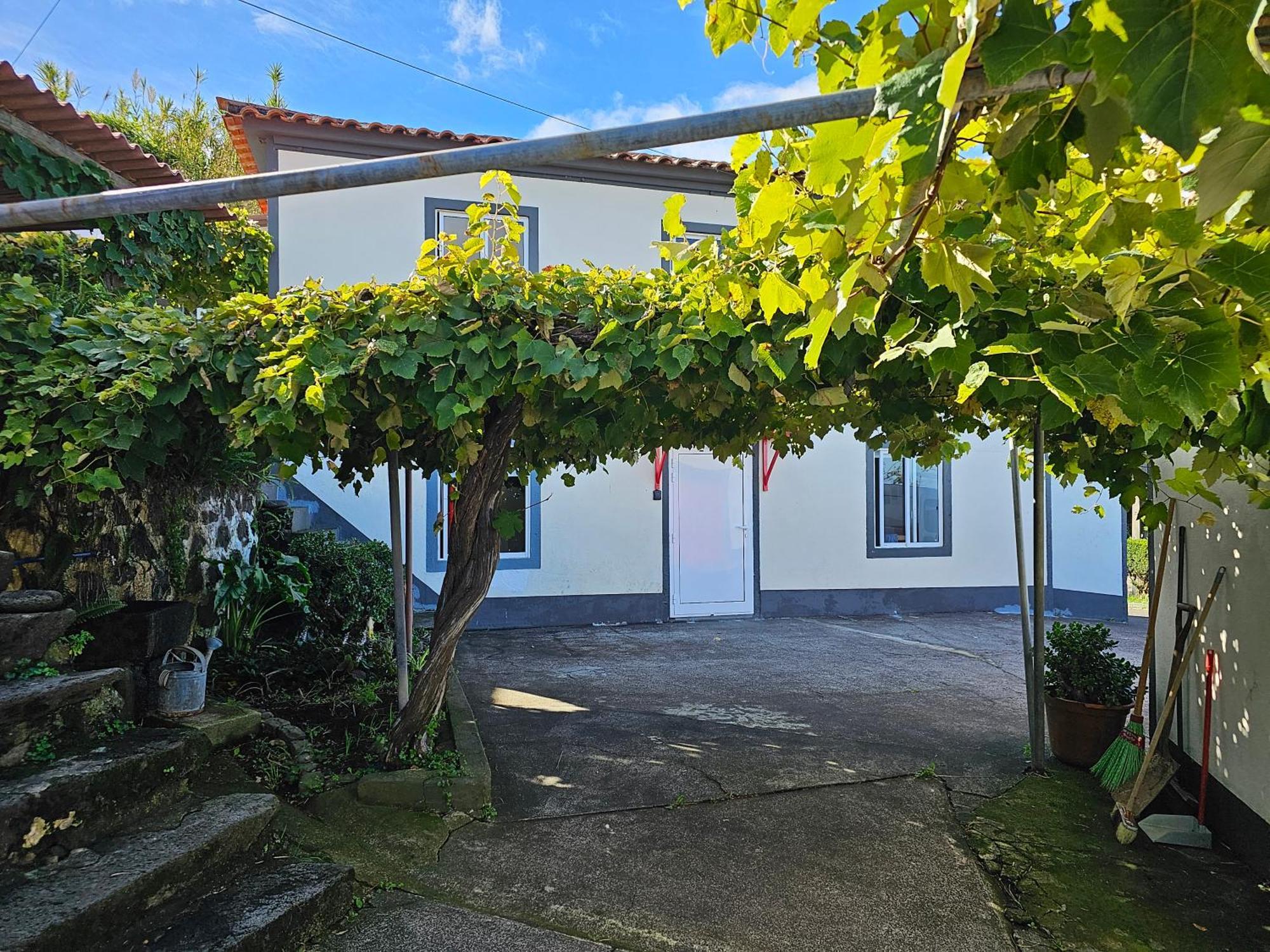 Casa Anjos Holiday Cottages Cedros Eksteriør billede