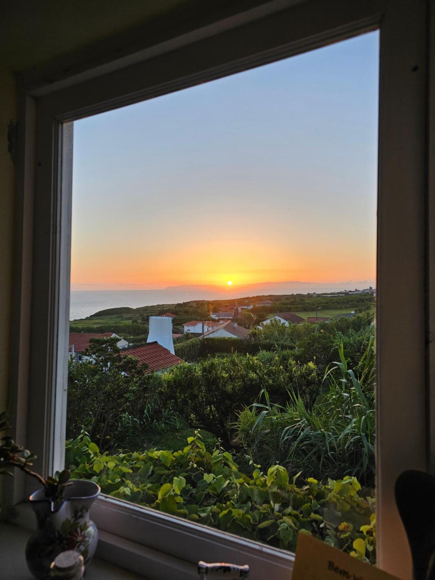 Casa Anjos Holiday Cottages Cedros Eksteriør billede
