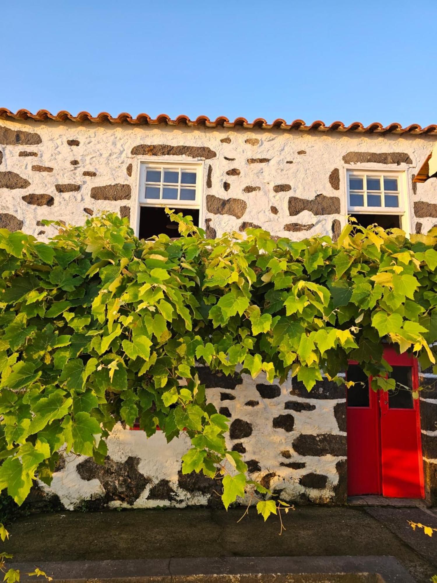 Casa Anjos Holiday Cottages Cedros Eksteriør billede