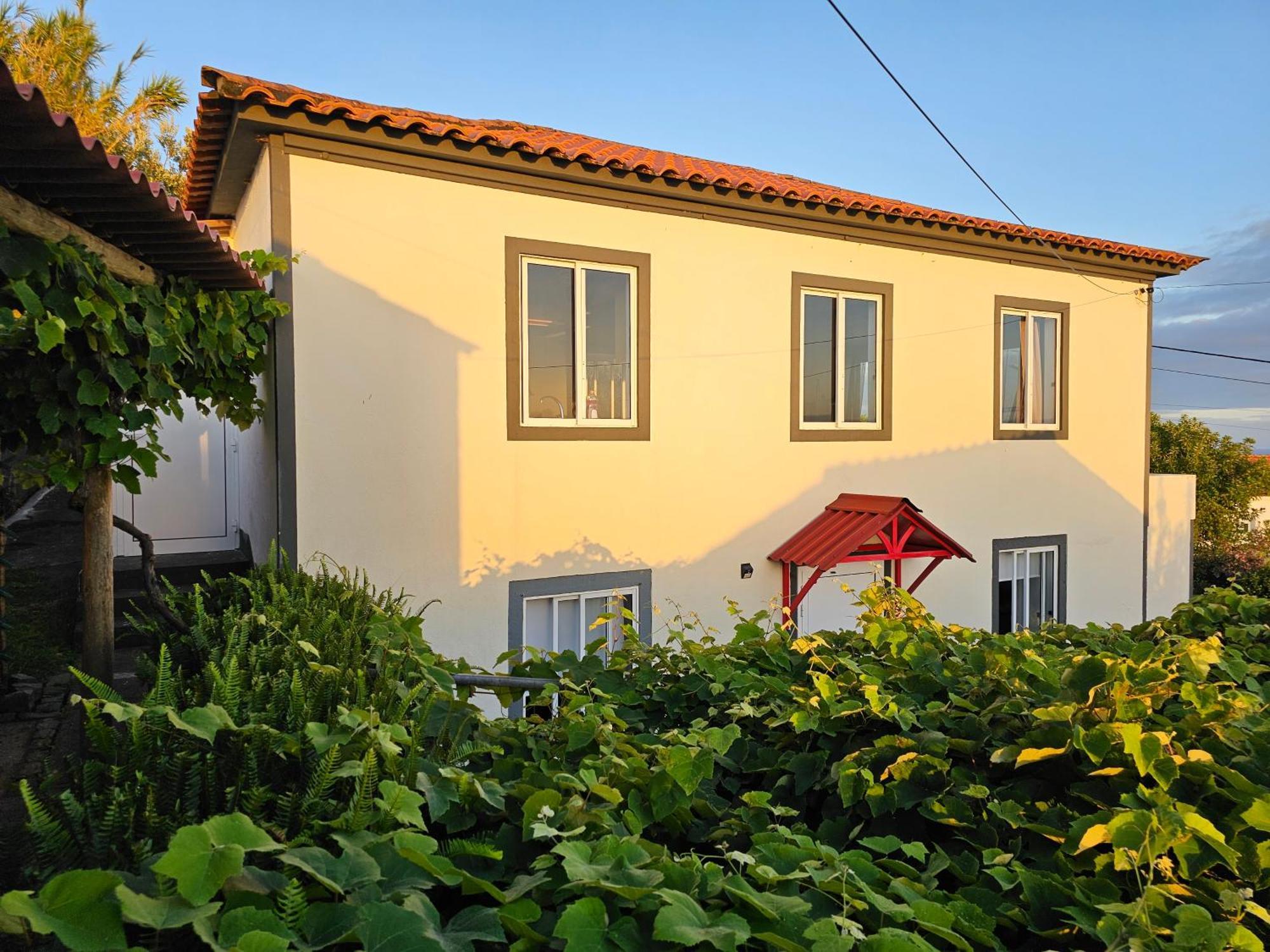 Casa Anjos Holiday Cottages Cedros Eksteriør billede